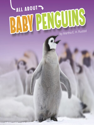 cover image of All About Baby Penguins